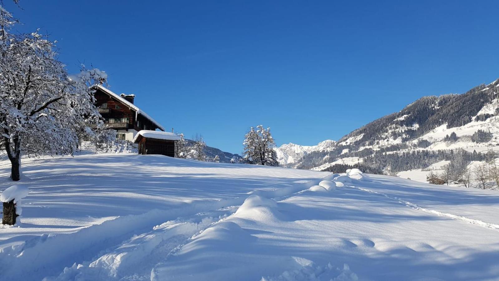 Appartementhaus Goldnugget Schwarzach im Pongau Extérieur photo